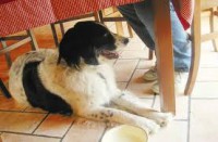 /album/galleria-fotografica/images-19-jpg/